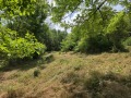 Продава ПАРЦЕЛ, област Велико Търново, с. Велчево • 36000 лв. • 17016834 — Holmes.bg