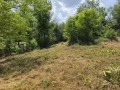 Продава ПАРЦЕЛ, област Велико Търново, с. Велчево • 36000 лв. • 17016834 — Holmes.bg