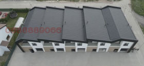 Hus Ravno pole, region Sofia 2