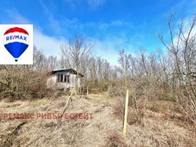 ����� ������� ����,�. ��������, ������ ����