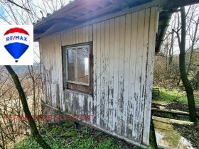 ����� ������� ����,�. ��������, ������ ����