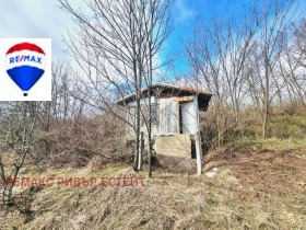 ����� ������� ����,�. ��������, ������ ����