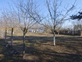 ������� ������ | Imot.bg � ����� ������ 6