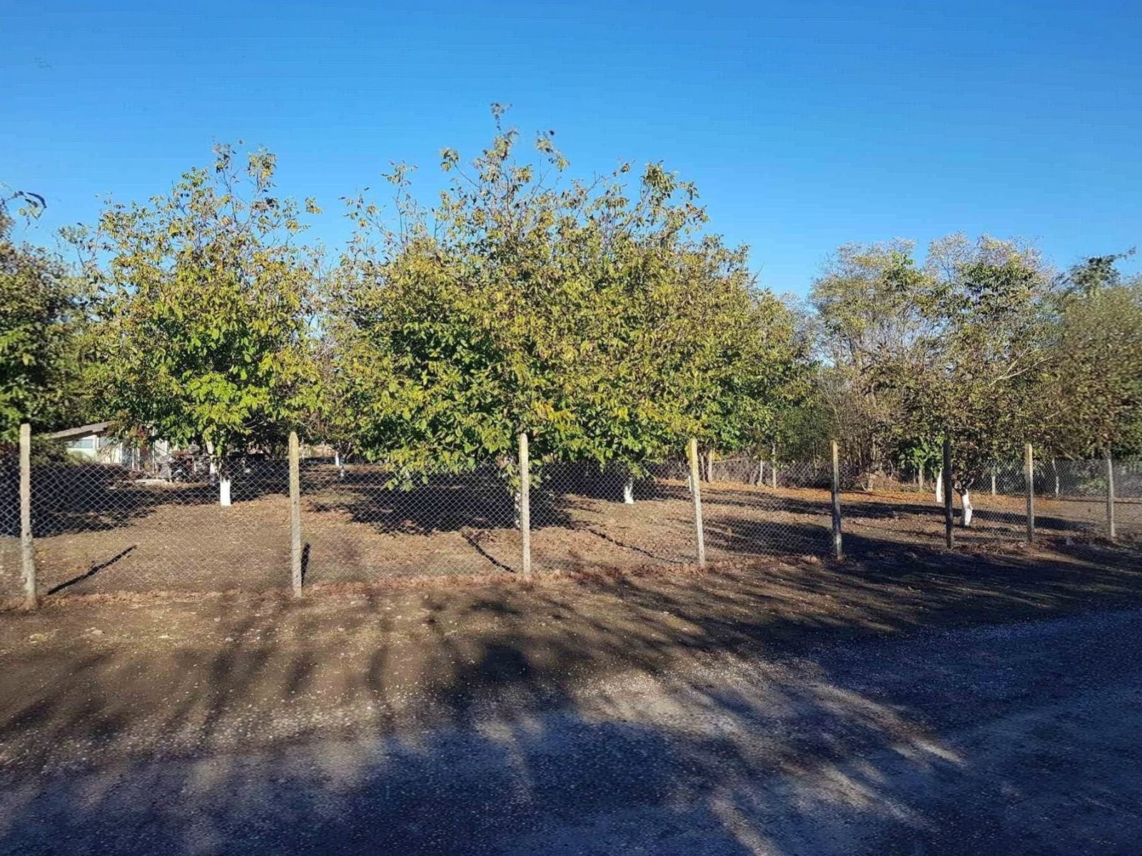 Продава ПАРЦЕЛ, гр. Каварна, област Добрич, снимка 13 - Парцели - 54916925