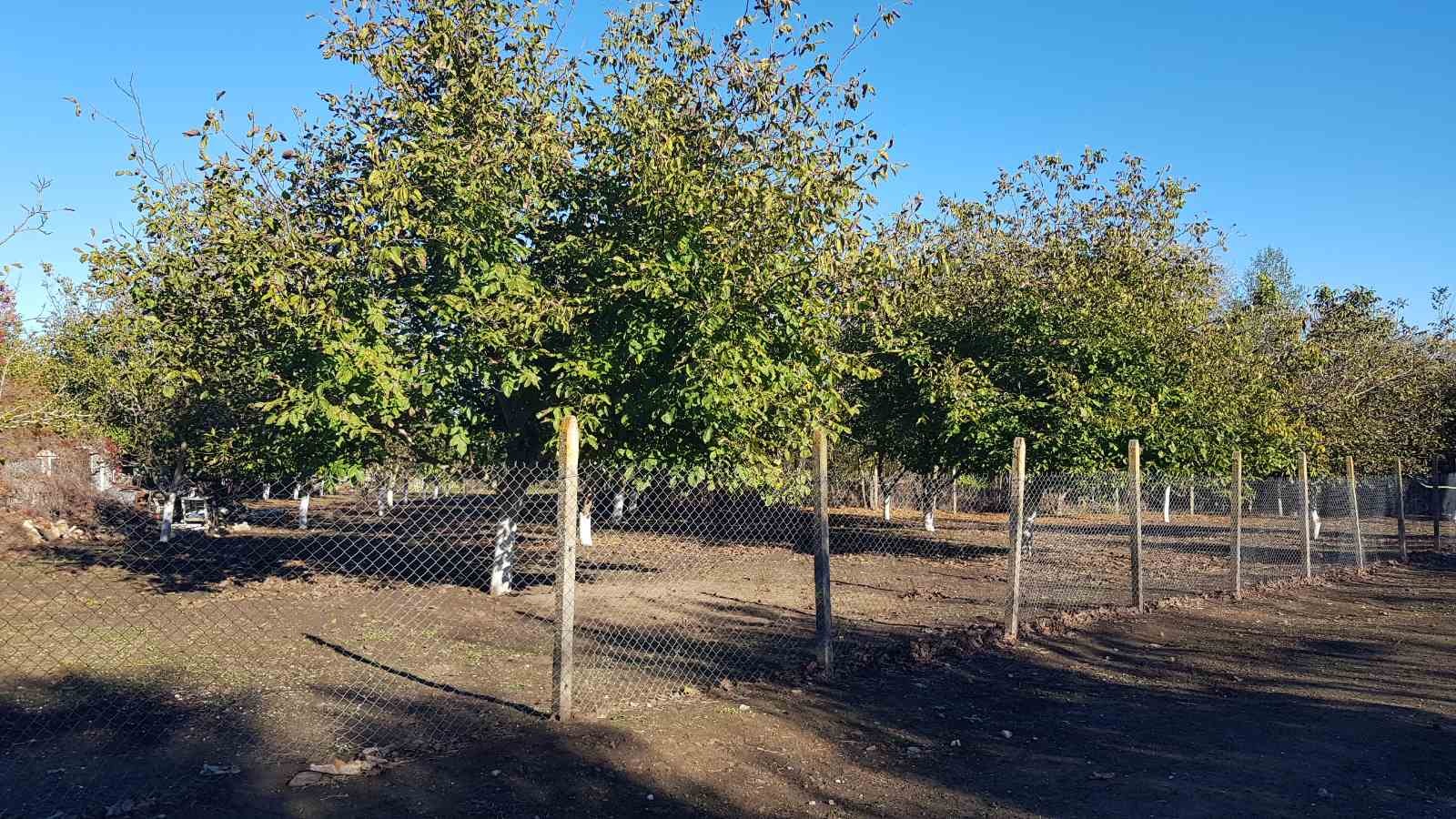 Продава ПАРЦЕЛ, гр. Каварна, област Добрич, снимка 11 - Парцели - 54916925