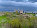 Продава ПАРЦЕЛ, с. Топола, област Добрич, снимка 4