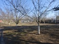 Продава  Парцел област Добрич , гр. Каварна , 1406 кв.м | 12631838 - изображение [4]