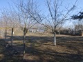 Продава  Парцел област Добрич , гр. Каварна , 1406 кв.м | 12631838 - изображение [6]