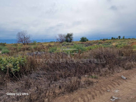 Parcelle Saedinenie, région Plovdiv 1