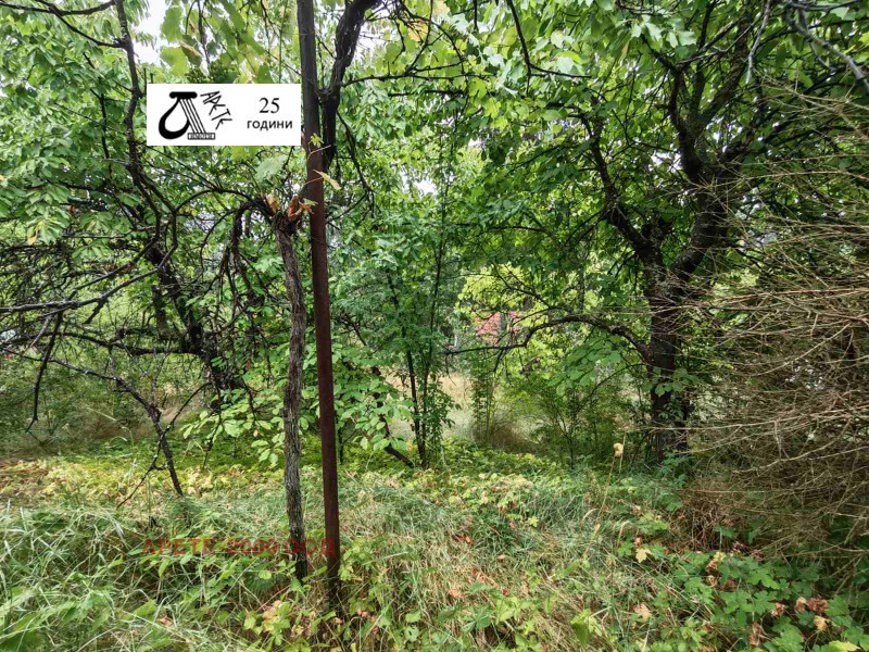 Продава  Вила град София , м-т Щъркелово гнездо , 40 кв.м | 86073882 - изображение [4]