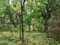 Продава ВИЛА, град София, м-т Щъркелово гнездо • 50000 € / 97791.50 лв. • 51037735 4