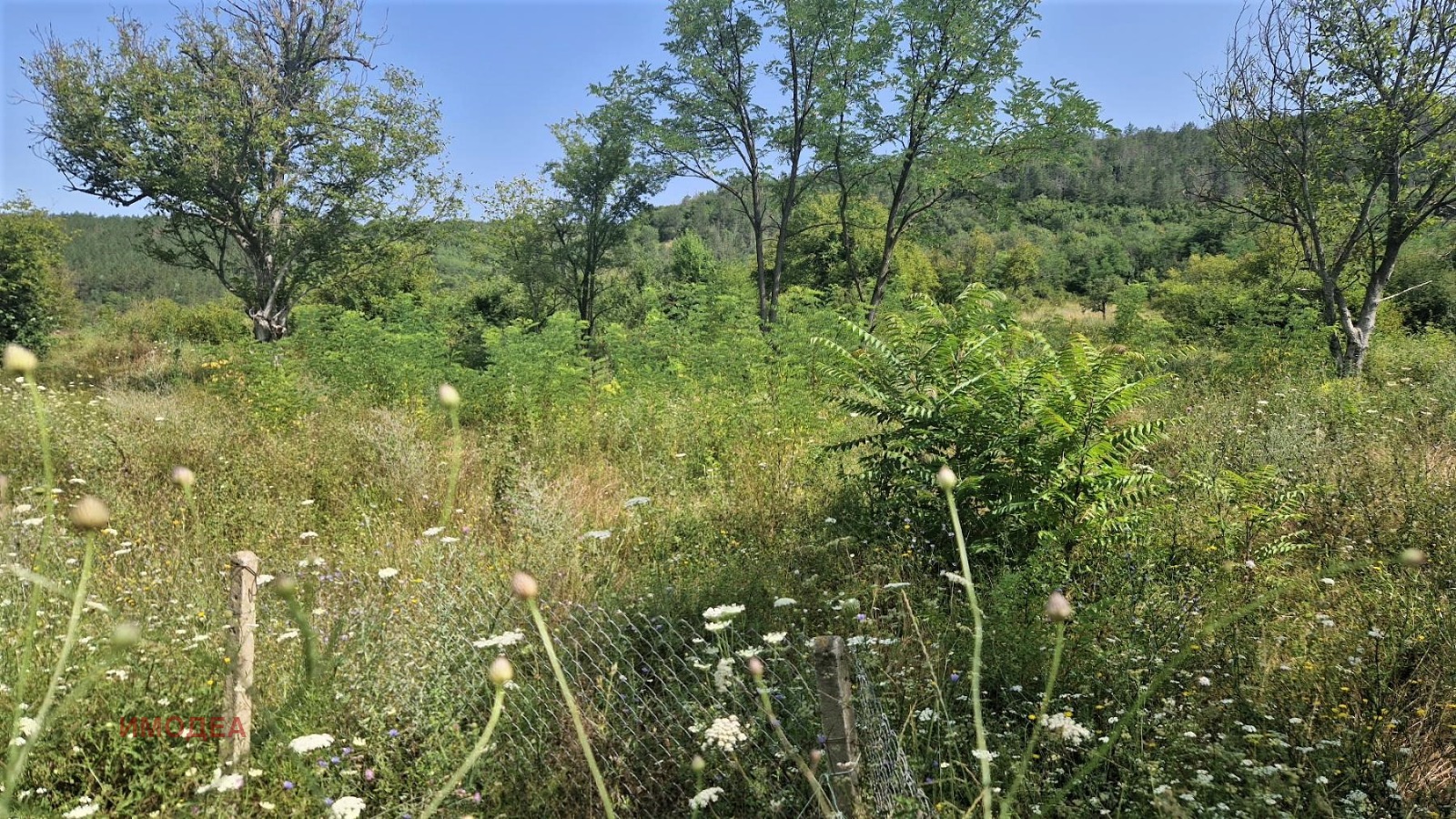 ������� ������ | Imot.bg � ����������� 4