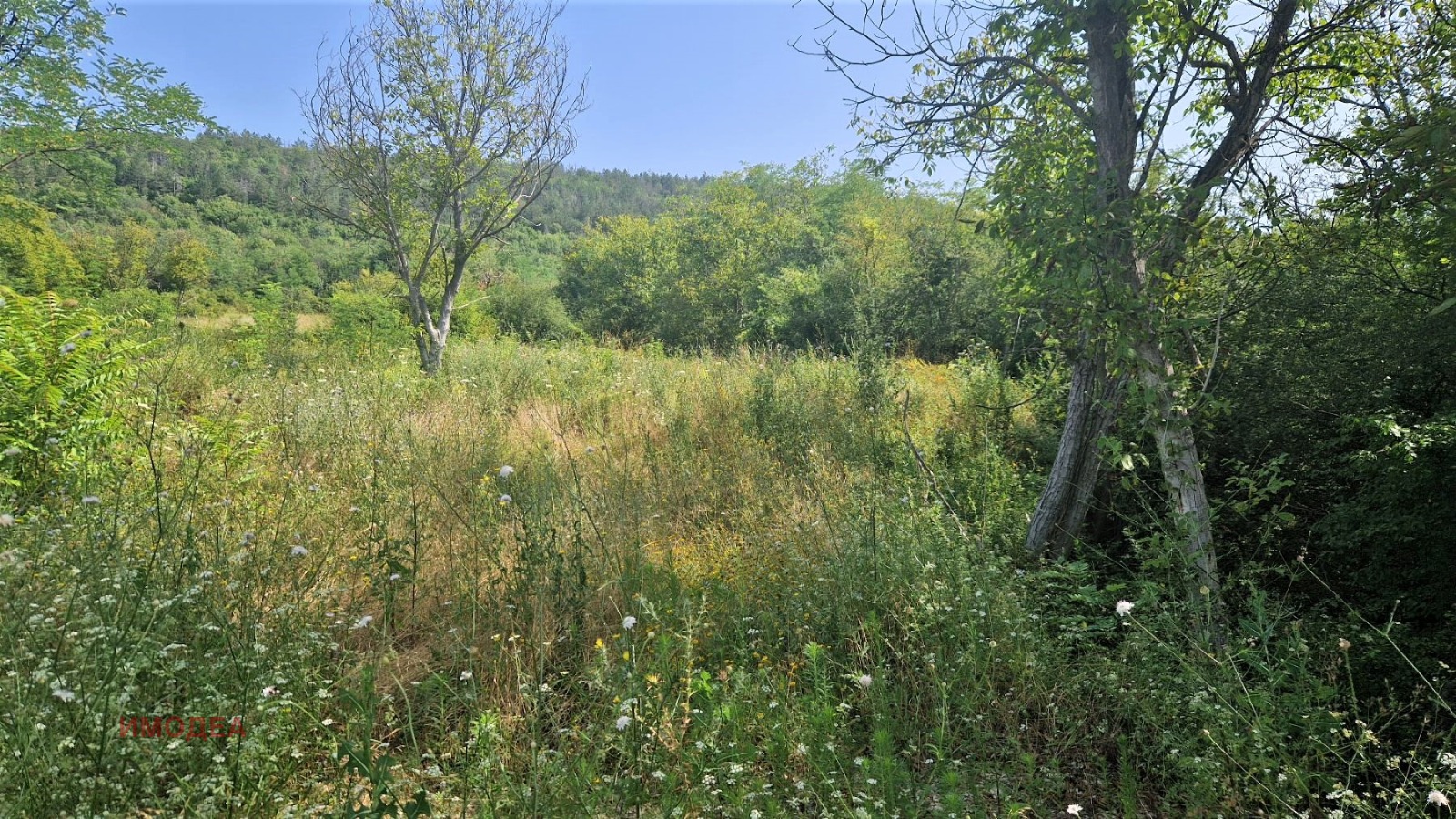 ������� ������ | Imot.bg � ����������� 5