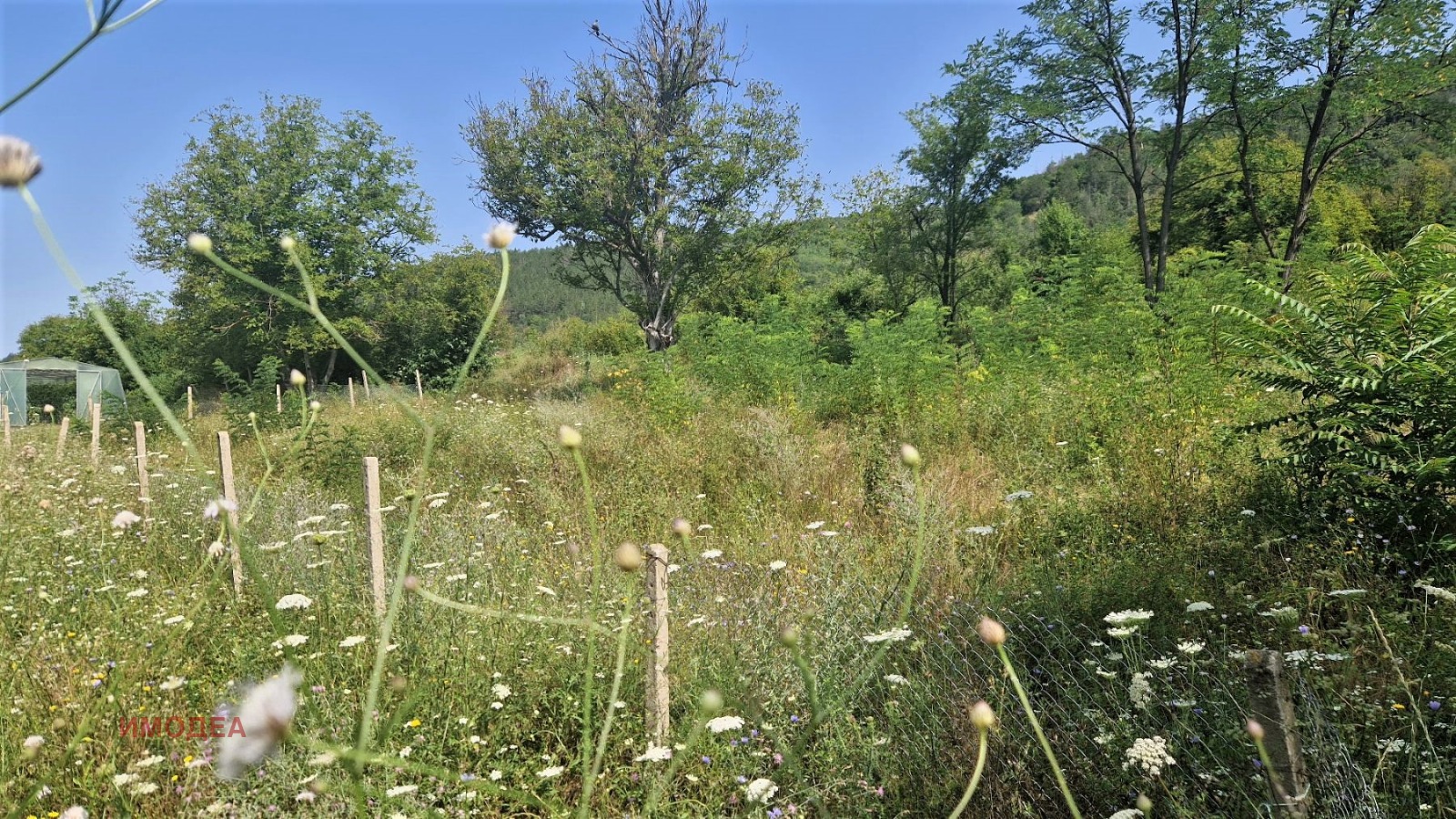 ������� ������ | Imot.bg � ����������� 1