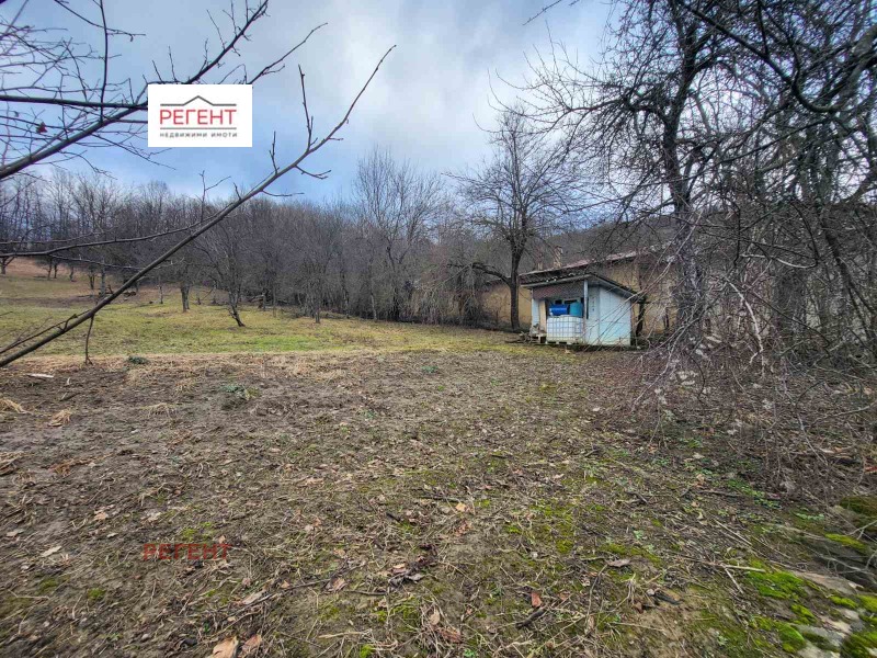 For Sale  Plot region Gabrovo , Muzga , 1017 sq.m | 23175030 - image [2]