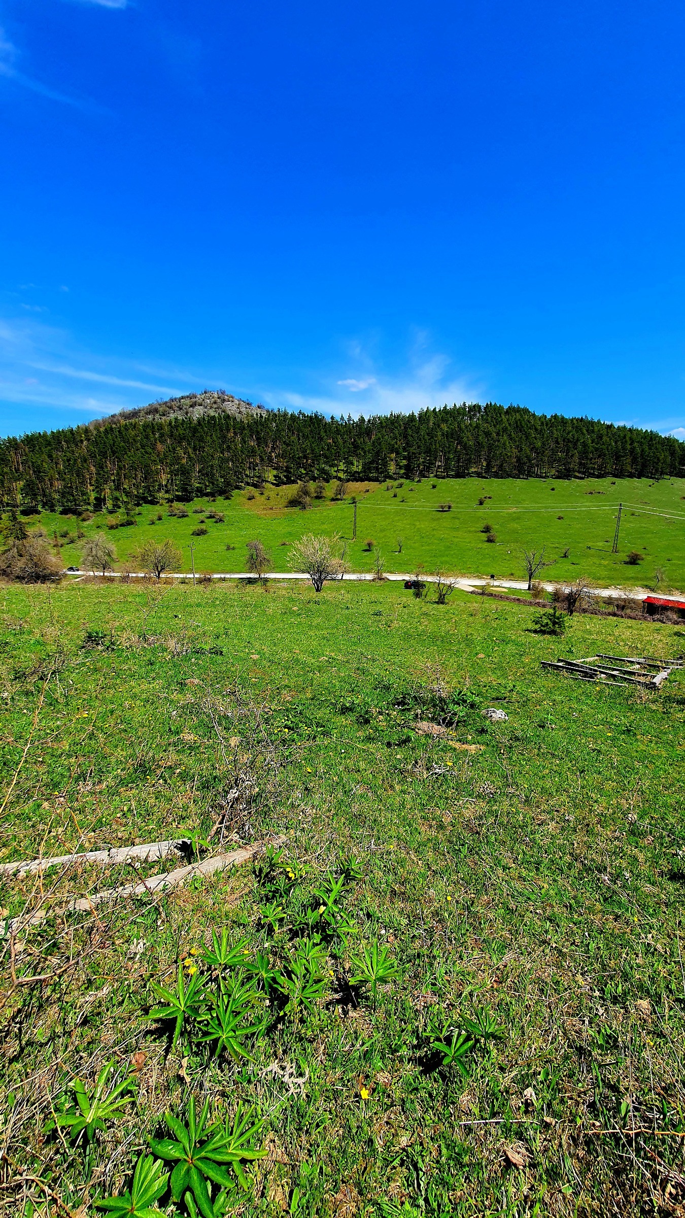 Продава ПАРЦЕЛ, с. Згориград, област Враца, снимка 10 - Парцели - 54366161