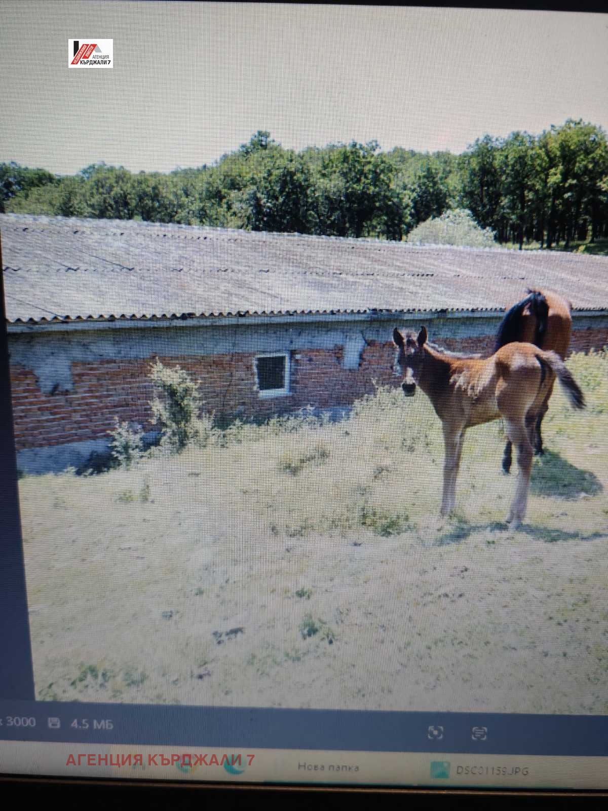 ������� ����. ��������� | Imot.bg � ����������� 6