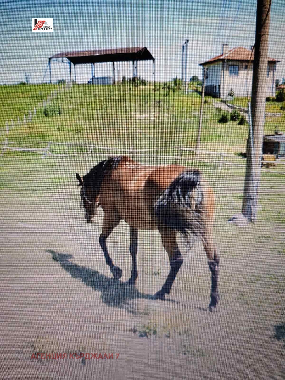 ������� ����. ��������� | Imot.bg � ����������� 7