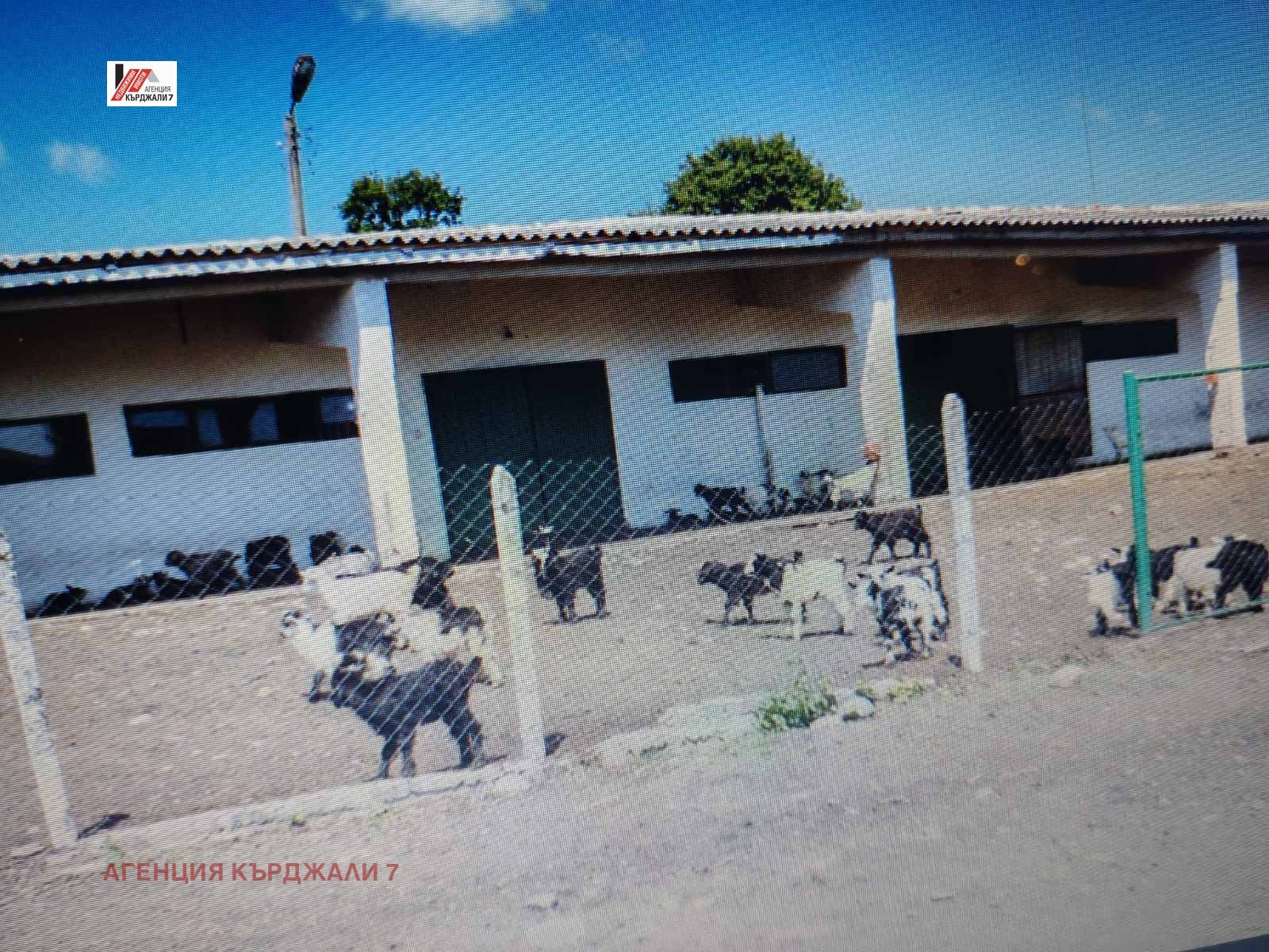 ������� ����. ��������� | Imot.bg � ����������� 5