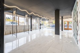 ����� ������� �������,���� �����, ����������