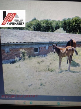 ������� ����. ��������� | Imot.bg � ����� ������ 6