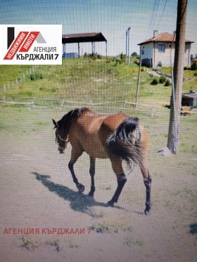 ������� ����. ��������� | Imot.bg � ����� ������ 7