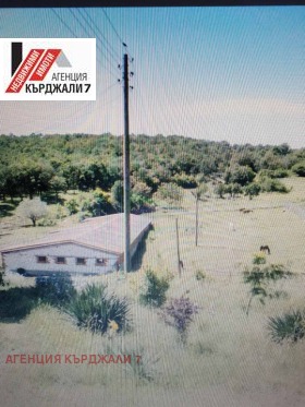 ������ ������� ����. ���������