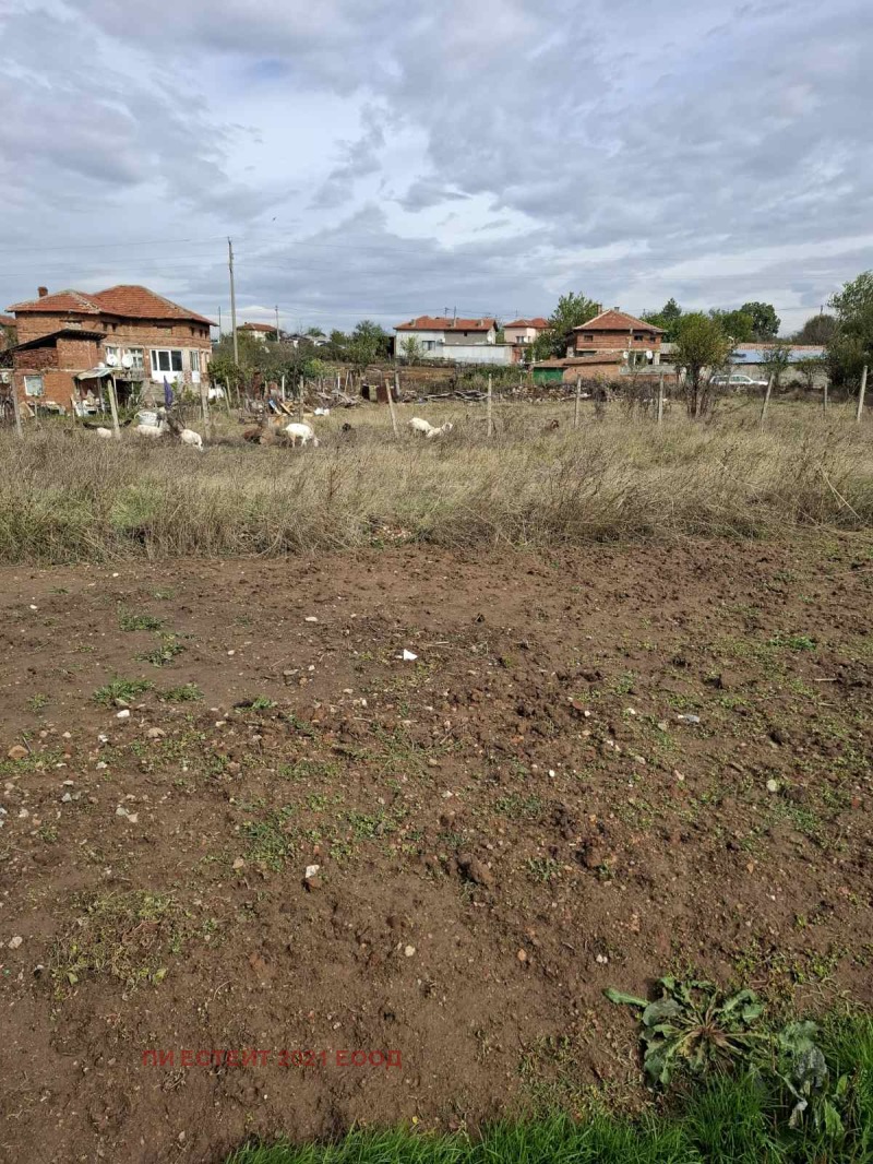 Продава  Парцел област Хасково , с. Александрово , 1000 кв.м | 81734226