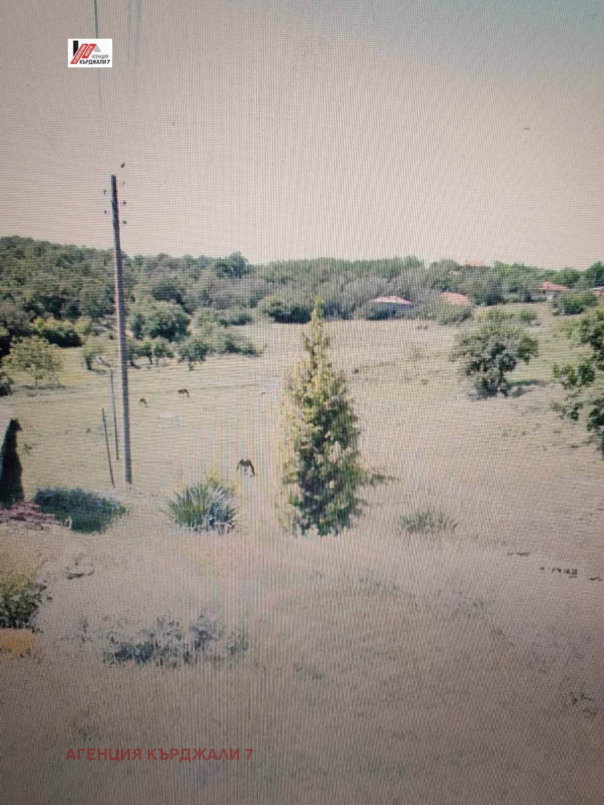 Продава ПРОМ. ПОМЕЩЕНИЕ, с. Соколяне, област Кърджали, снимка 9 - Производствени сгради - 54119025