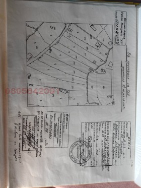 ����� ������� ������,���� �����, �-� �������