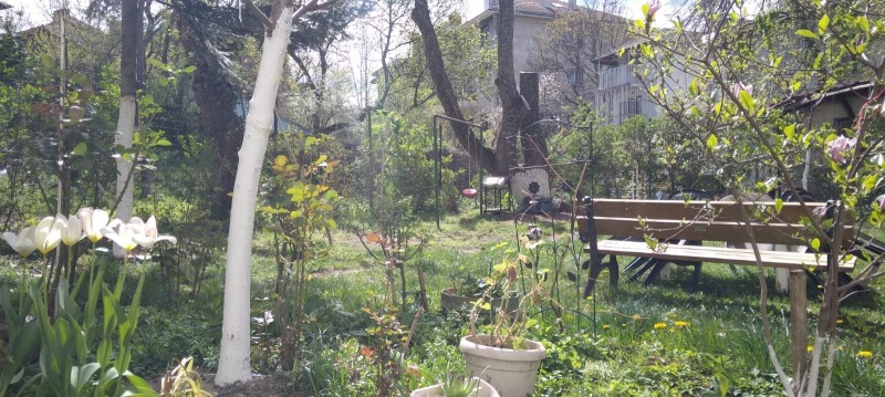 Na sprzedaż  1 sypialnia Sofia , Jaworow , 50 mkw | 51772038