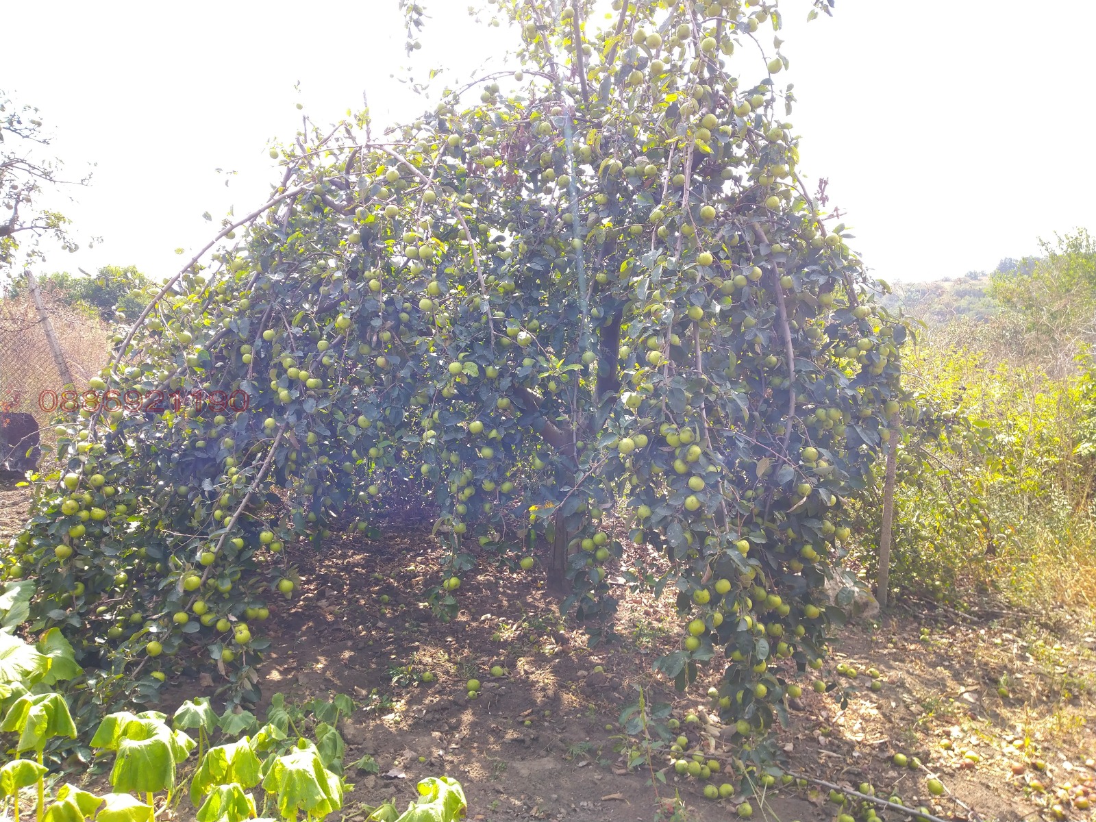 ������� ���� | Imot.bg � ����������� 5