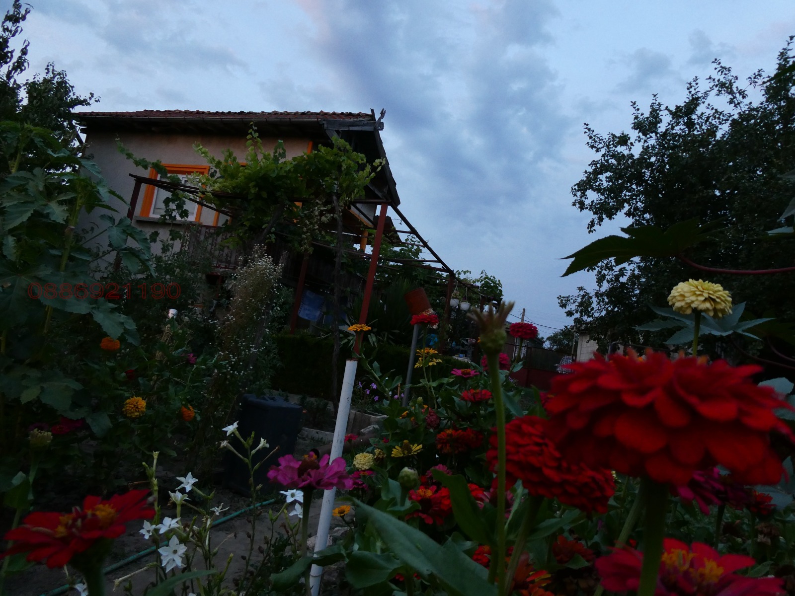 ������� ���� | Imot.bg � ����������� 2