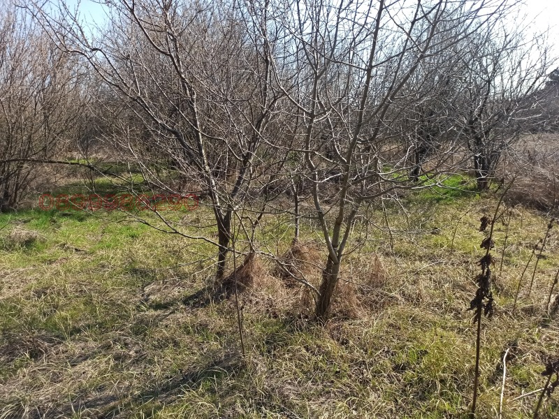 Продава ПАРЦЕЛ, с. Бацова махала, област Плевен, снимка 7 - Парцели - 52782063