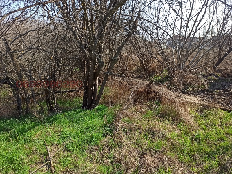 Продава ПАРЦЕЛ, с. Бацова махала, област Плевен, снимка 9 - Парцели - 52782063