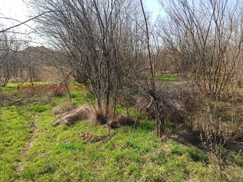 Продава ПАРЦЕЛ, с. Бацова махала, област Плевен, снимка 11 - Парцели - 52782063