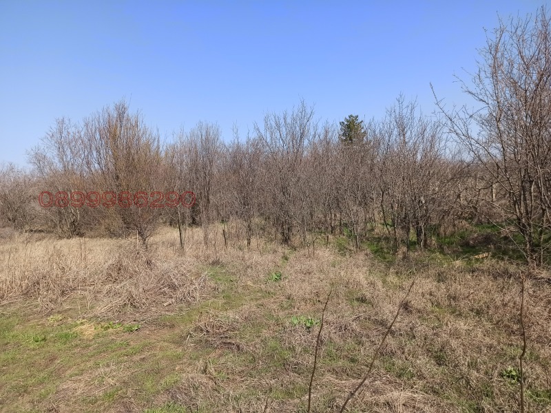 Продава ПАРЦЕЛ, с. Бацова махала, област Плевен, снимка 5 - Парцели - 52782063