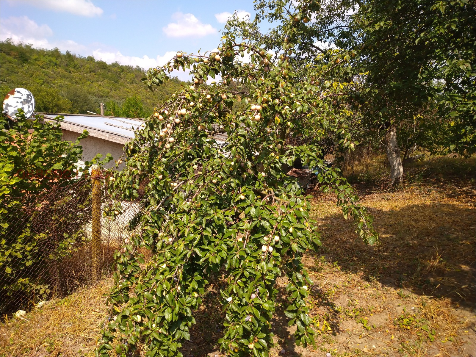 Продава КЪЩА, с. Врачанци, област Добрич, снимка 6 - Къщи - 54631076