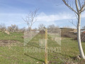 Продава ПАРЦЕЛ, гр. Нови пазар, област Шумен, снимка 5