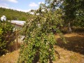 Продава  Къща област Добрич , с. Врачанци , 60 кв.м | 36853883 - изображение [6]