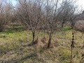 Продава ПАРЦЕЛ, с. Бацова махала, област Плевен, снимка 7
