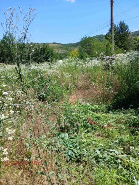 Продава  Парцел, с. Ново село