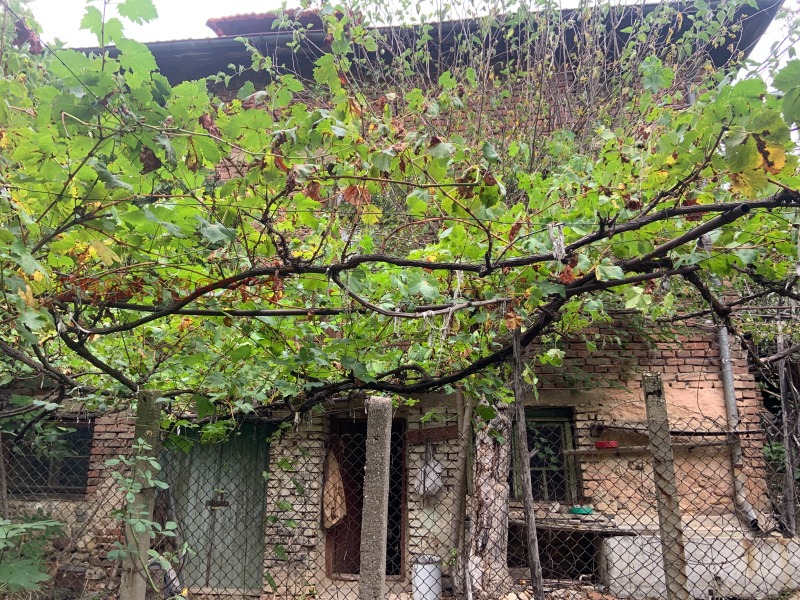 Продава КЪЩА, с. Мурсалево, област Кюстендил, снимка 5 - Къщи - 52786193