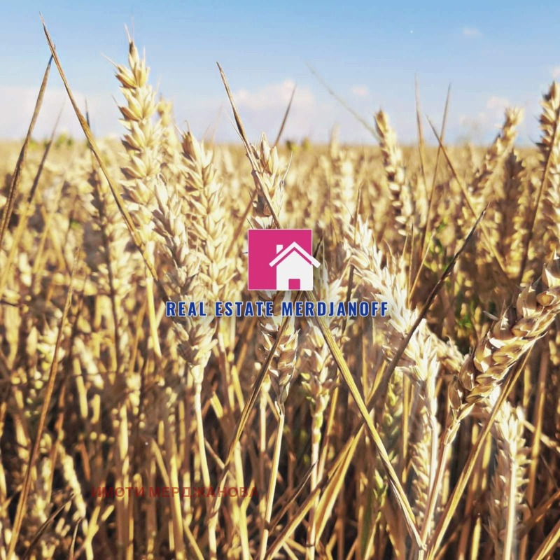 En venta  Tierra región Sliven , Novoselets , 92.365 dka | 82926831