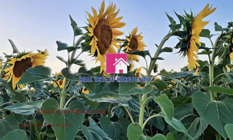 En venta  Tierra región Sliven , Novoselets , 92.365 dka | 82926831 - imagen [2]