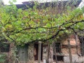 Продава КЪЩА, с. Мурсалево, област Кюстендил, снимка 5