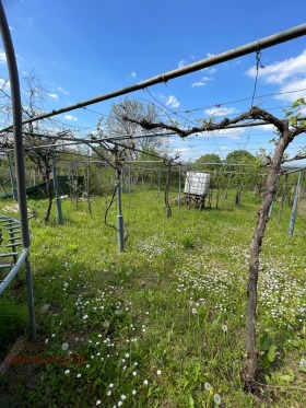 Villa Vilna zona, Targovishte 14