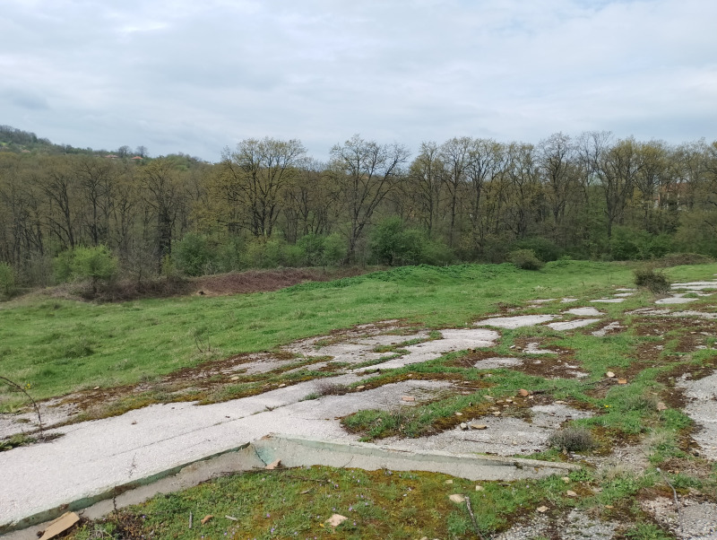 Zu verkaufen  Land region Varna , Solnik , 9 dka | 40541775 - Bild [3]