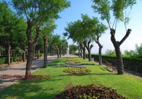 ������� 4-����� | Imot.bg � ����� ������ 13