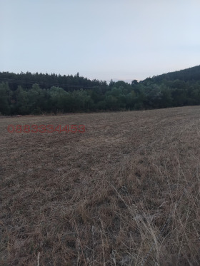 ������� ���������� ���� | Imot.bg � ����� ������ 2
